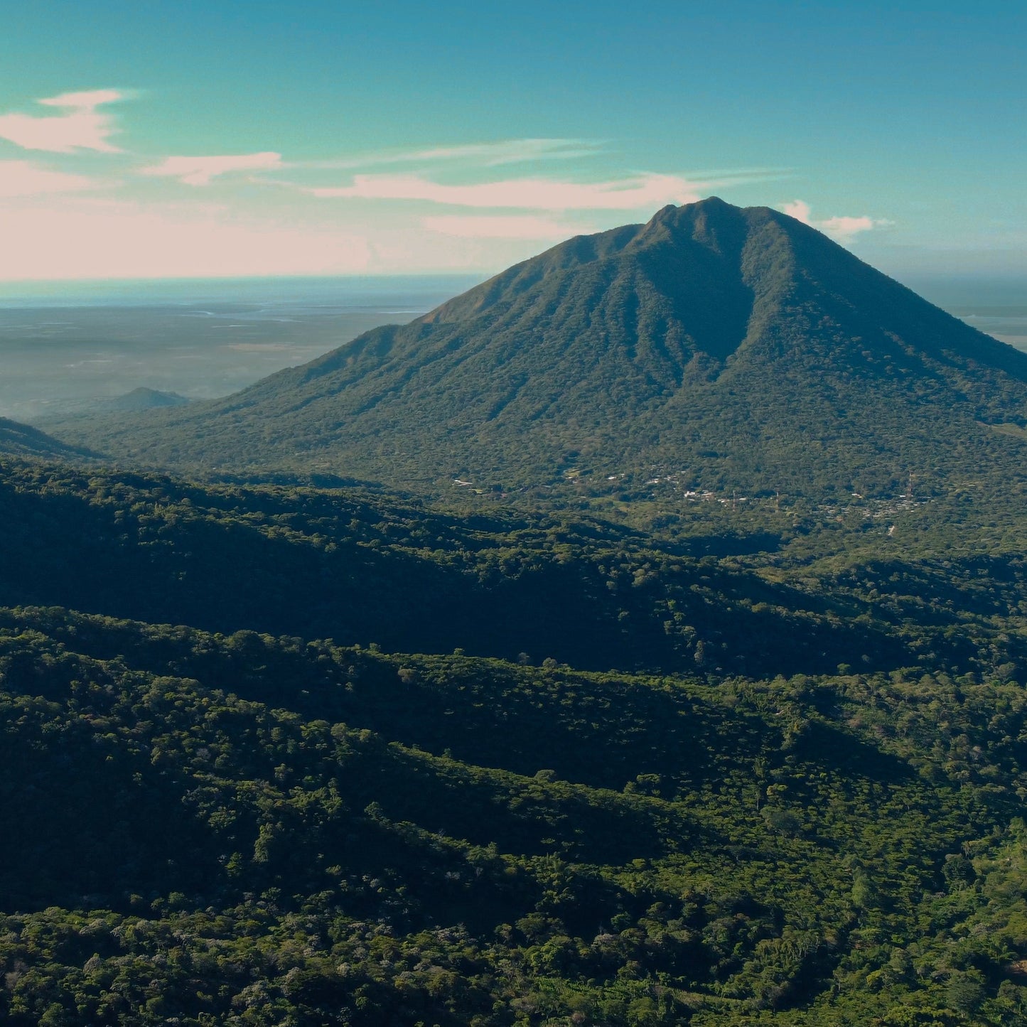 Mountain peak surrounded by lush greenery under a clear blue sky