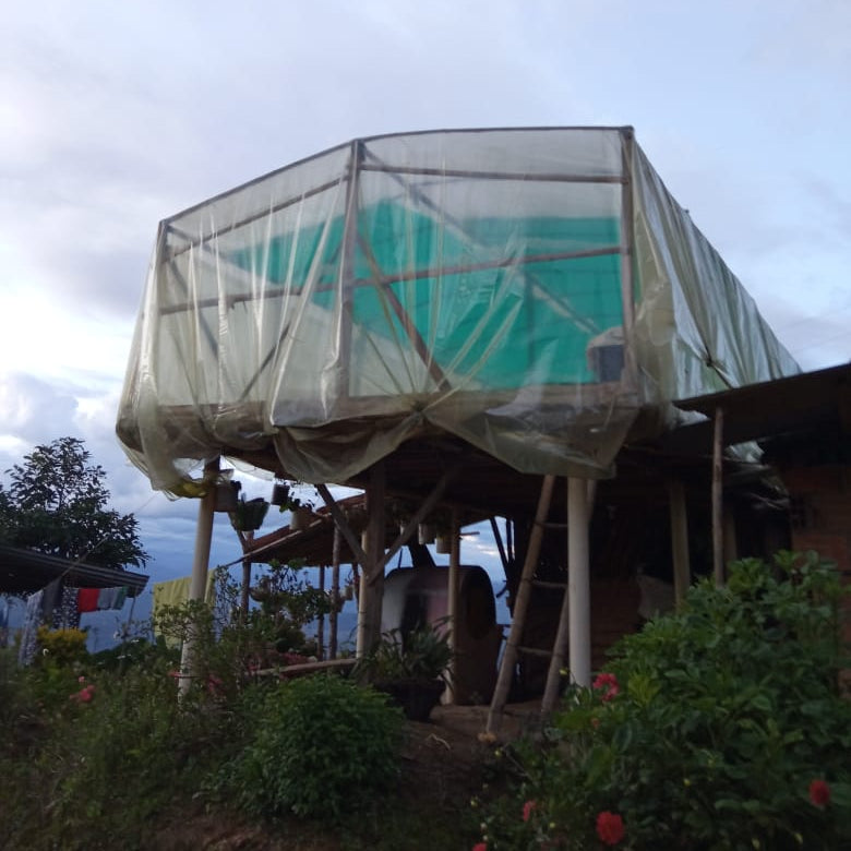Hexagonal treehouse structure with transparent covering on a cloudy day