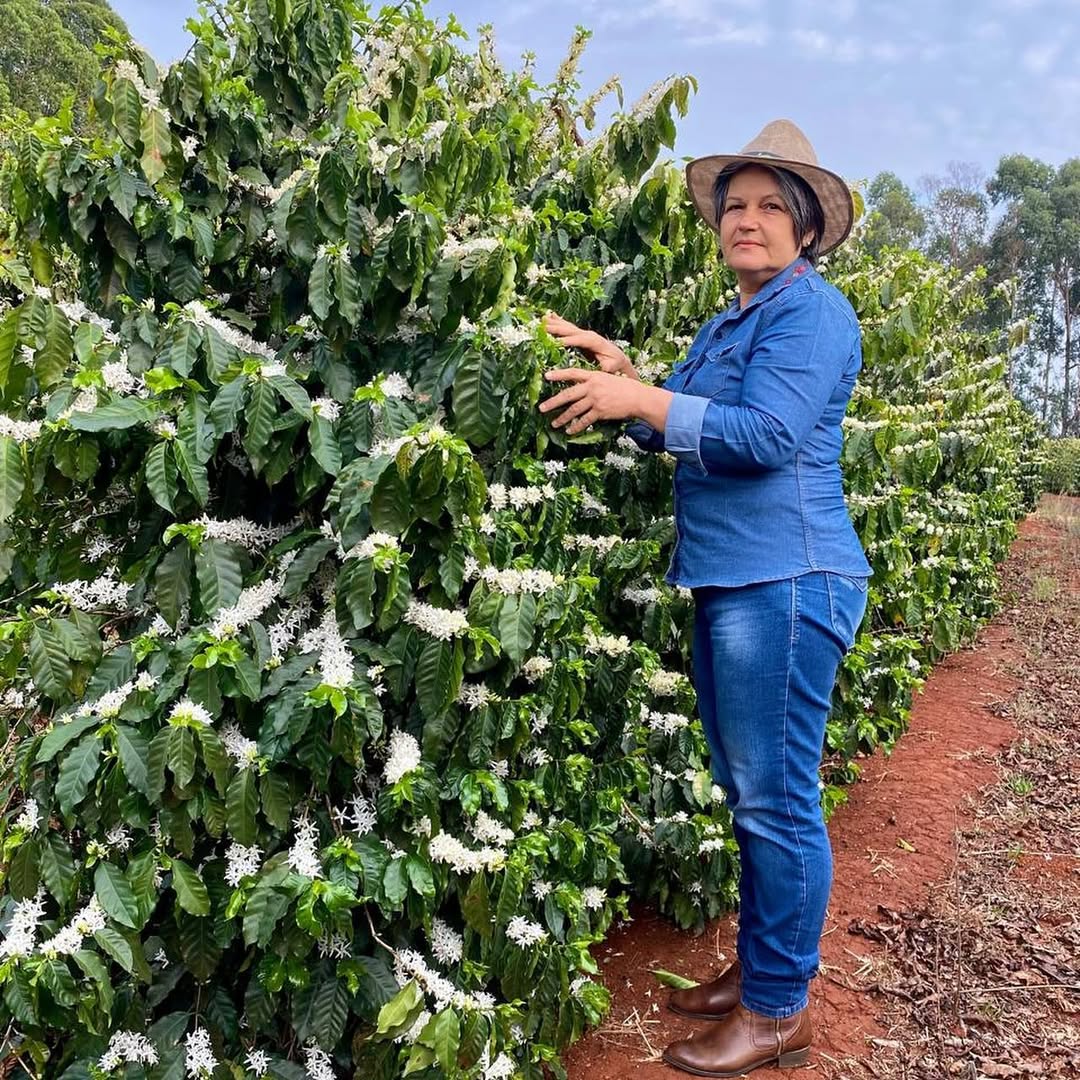 Woman standing among coffee trees with white flowers on a farm