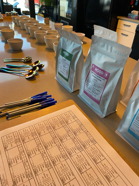 Specialty Coffee vs. Commodity Coffee: Why the Difference Matters