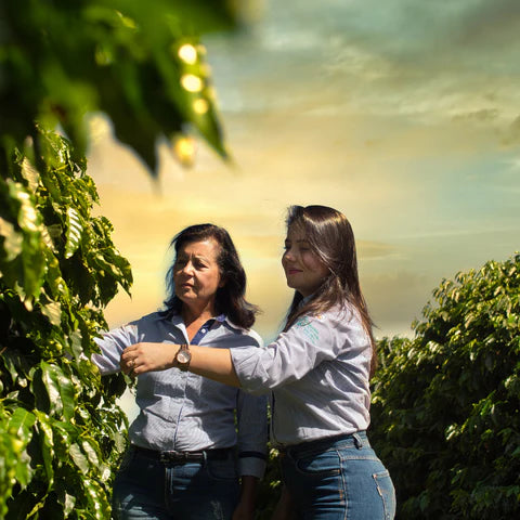 Brazil Natural by Imaculada Barbosa