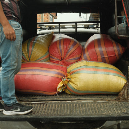 Decaf Colombia Washed EA - Proyecto Berruecos