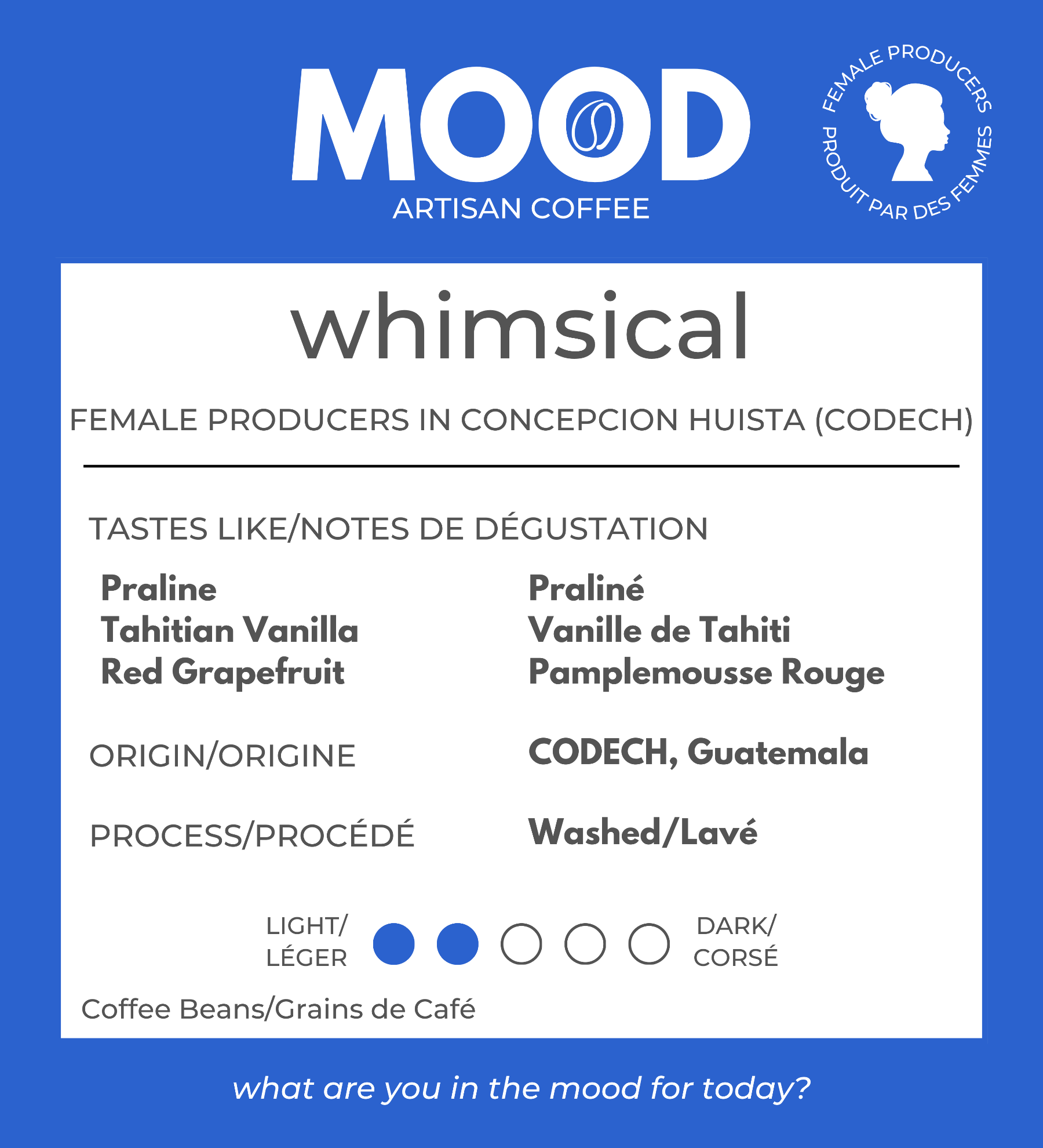 Female-Coffee-Roastery