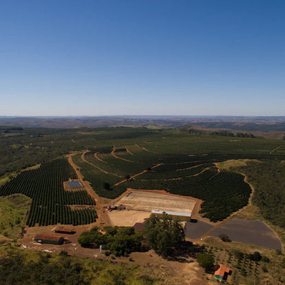 Brazil Natural by Imaculada Barbosa