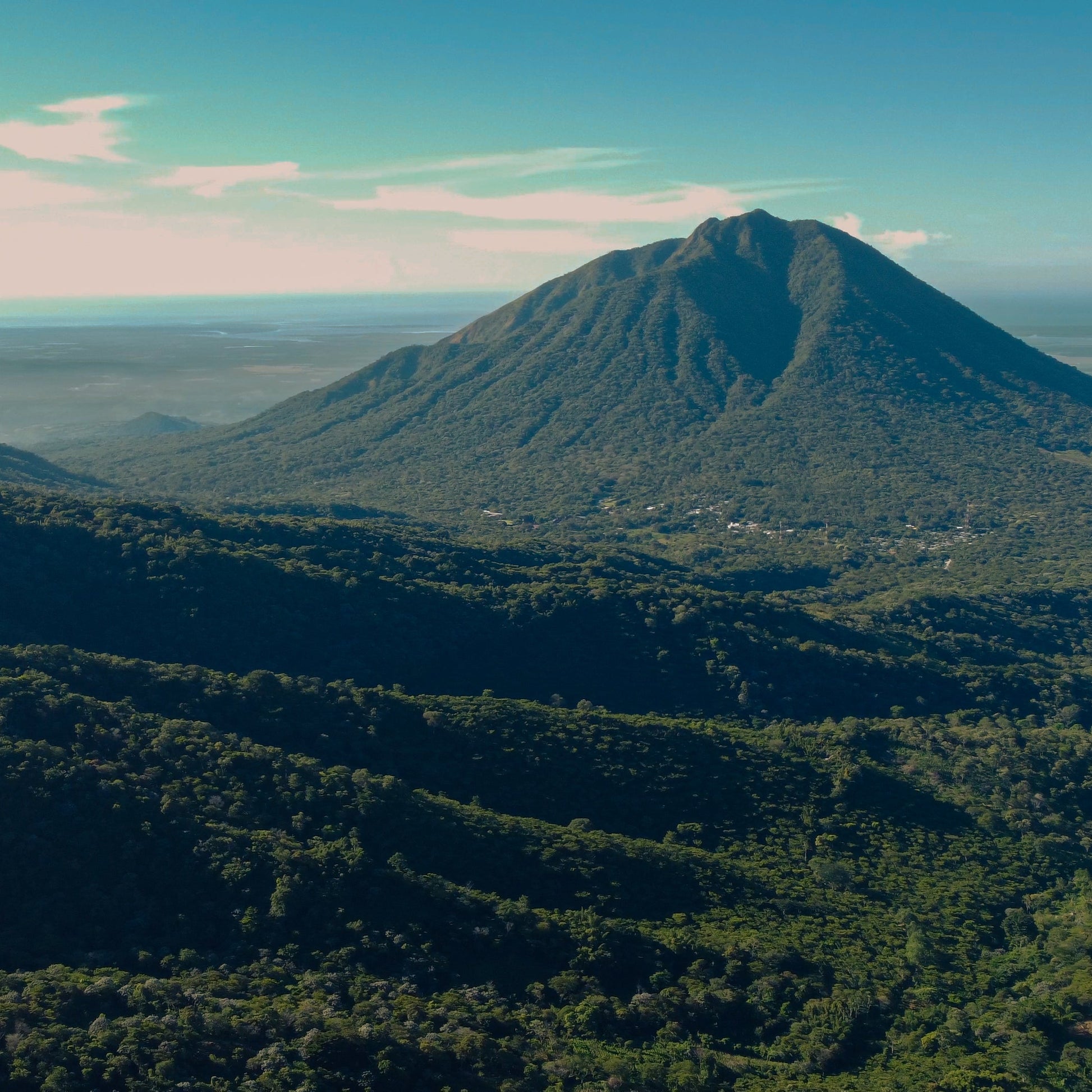 Mountain peak surrounded by lush greenery under a clear blue sky