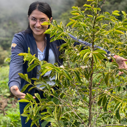 Discovery Set: 5-Pack Coffee Sampler