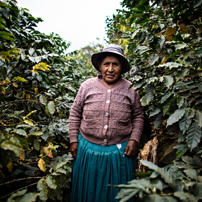 Bolivia Washed by Carmela, Juana, and Nancy