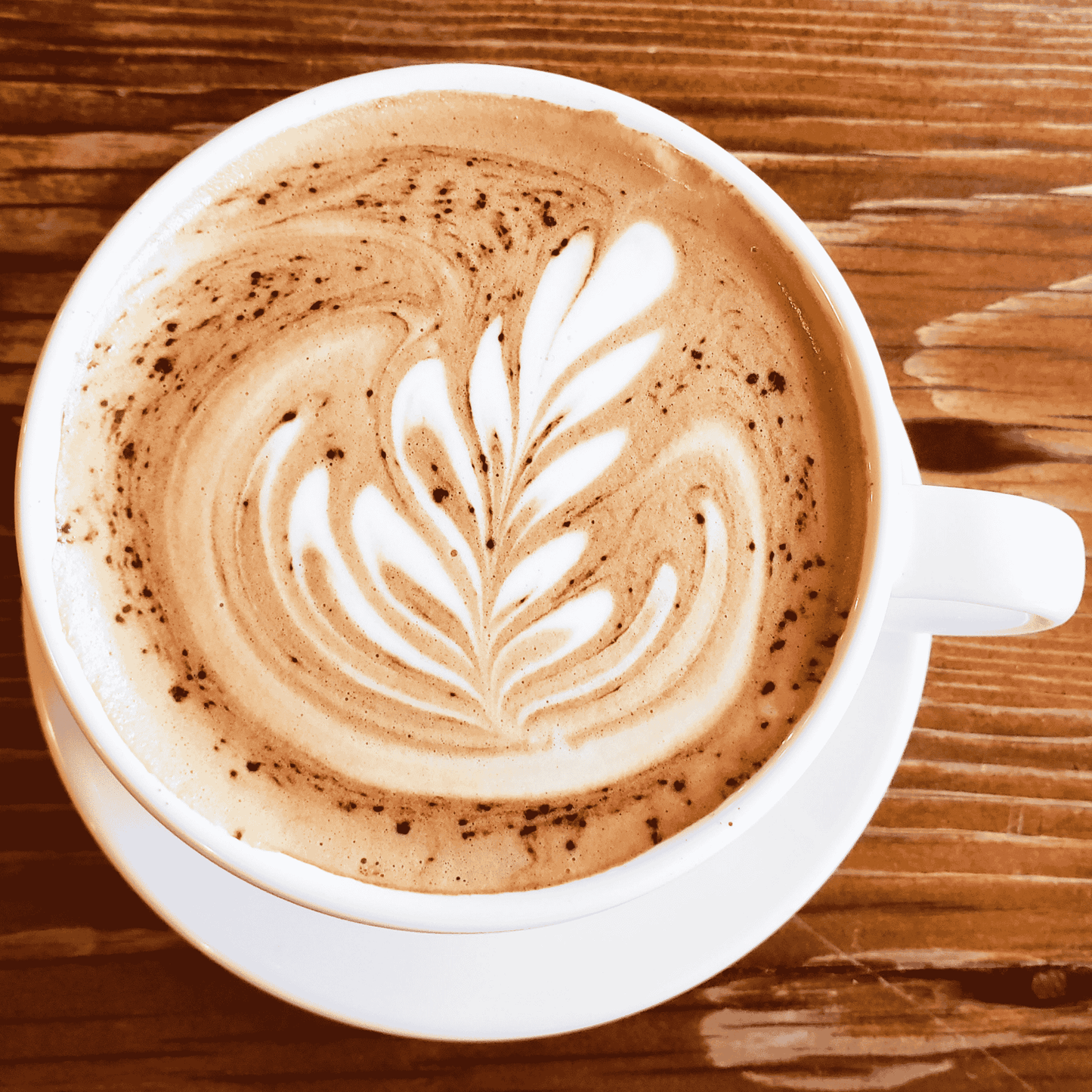 Espresso Coffee Bundle