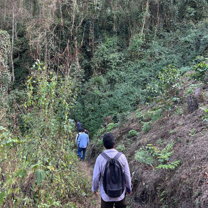 Mexico Washed by Guadalupe Martinez Perez