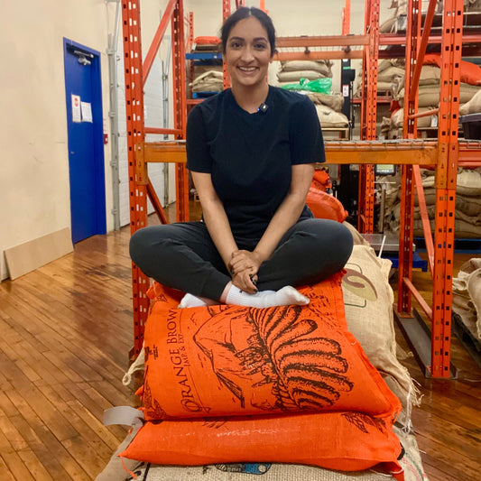 Discovery Set: 5-Pack Coffee Sampler