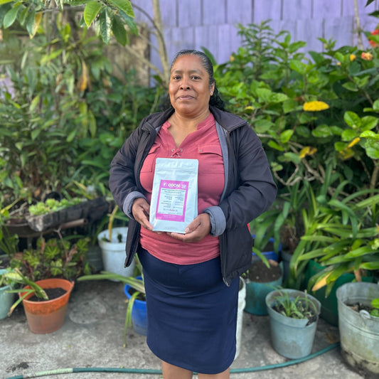 Mexico Washed by Guadalupe Martinez Perez