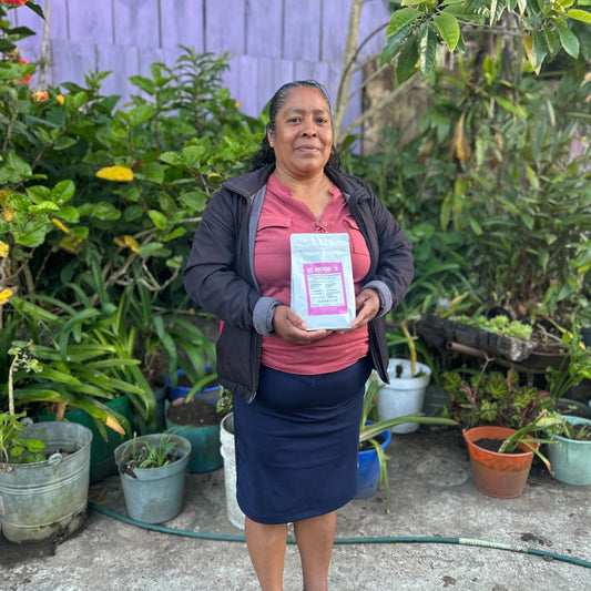 Discovery Set: 5-Pack Coffee Sampler