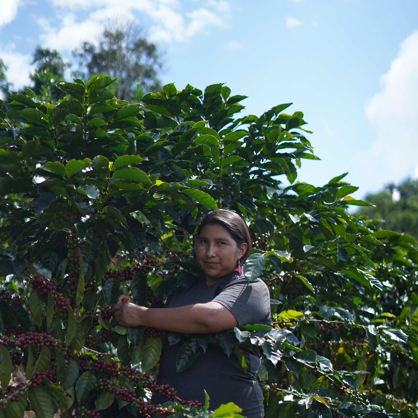Bolivia Washed by Carmela, Juana, and Nancy