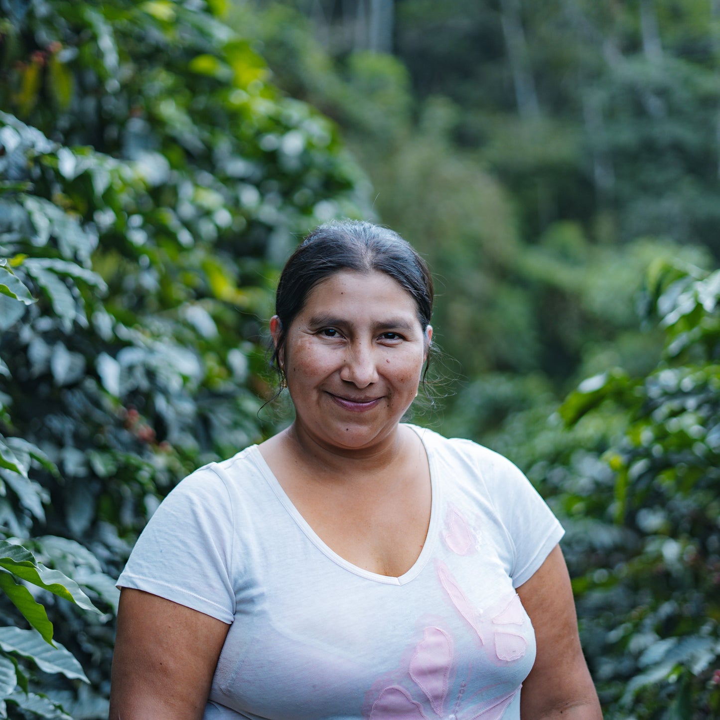 Bolivia Washed by Carmela, Juana, and Nancy