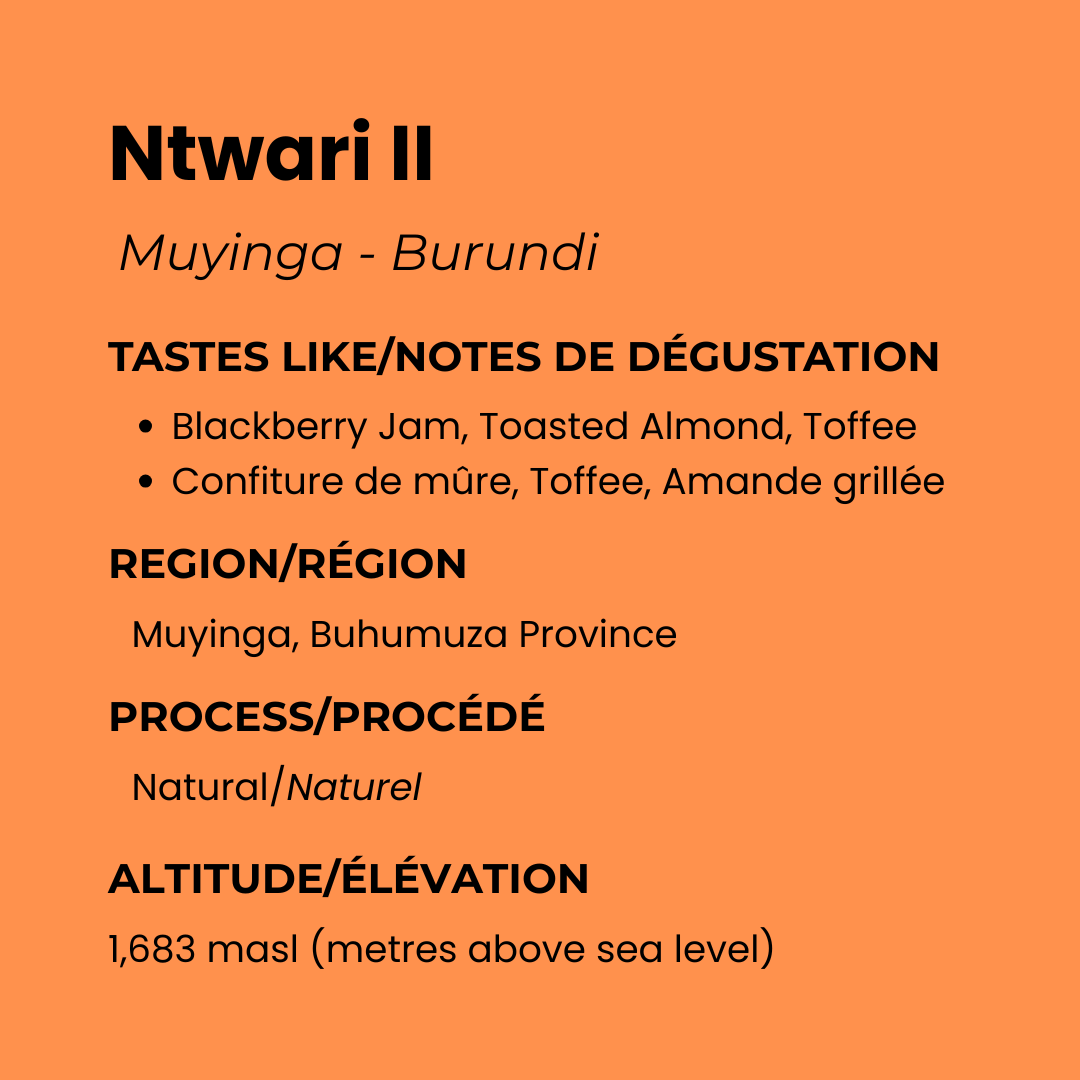 Burundi Natural - Ntwari II