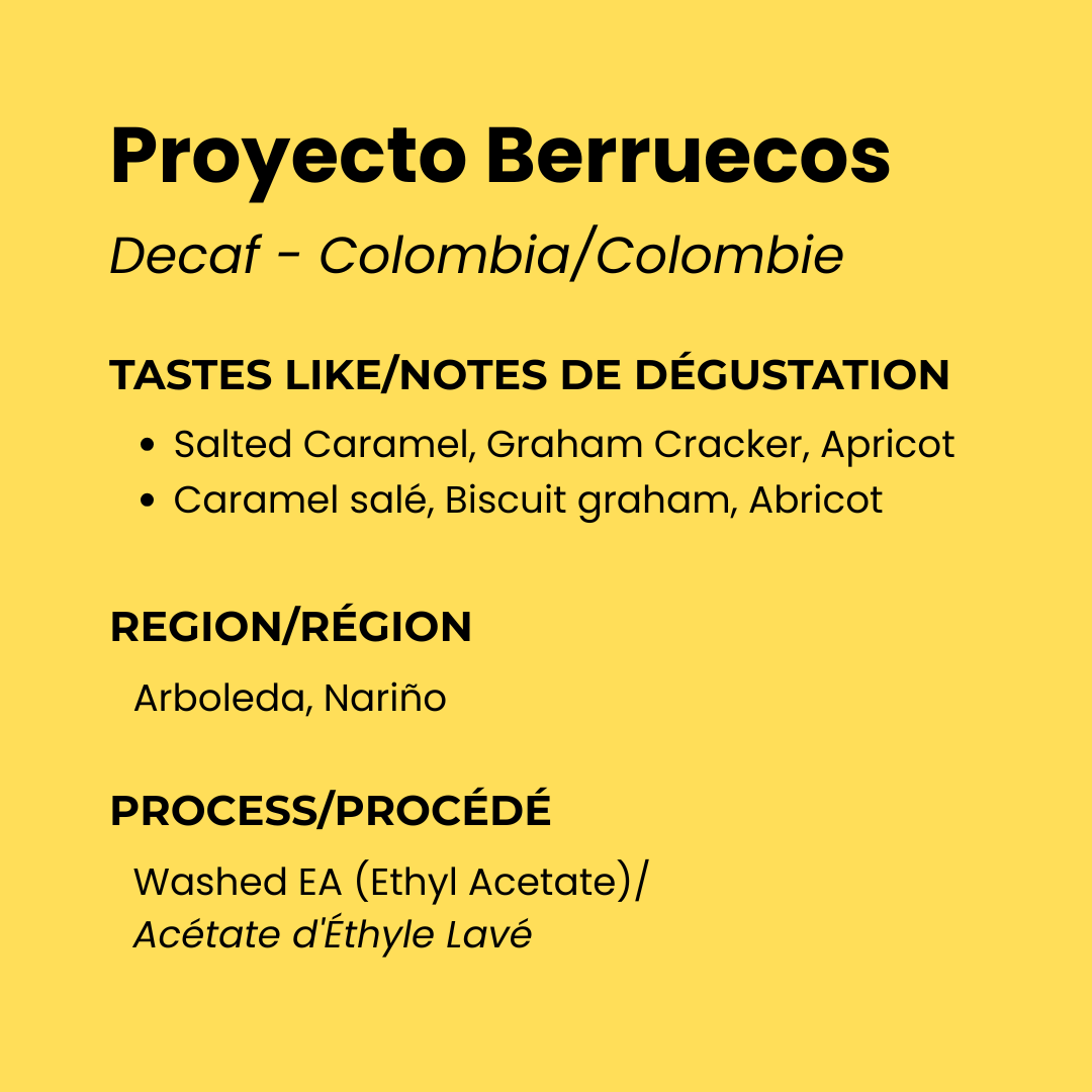 Decaf Colombia Washed EA - Proyecto Berruecos