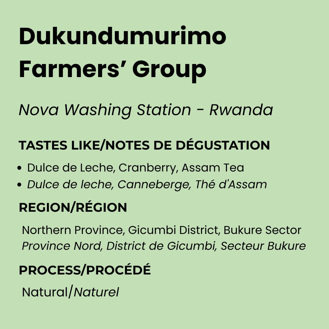 Revival Set: 6-Pack Coffee Sampler