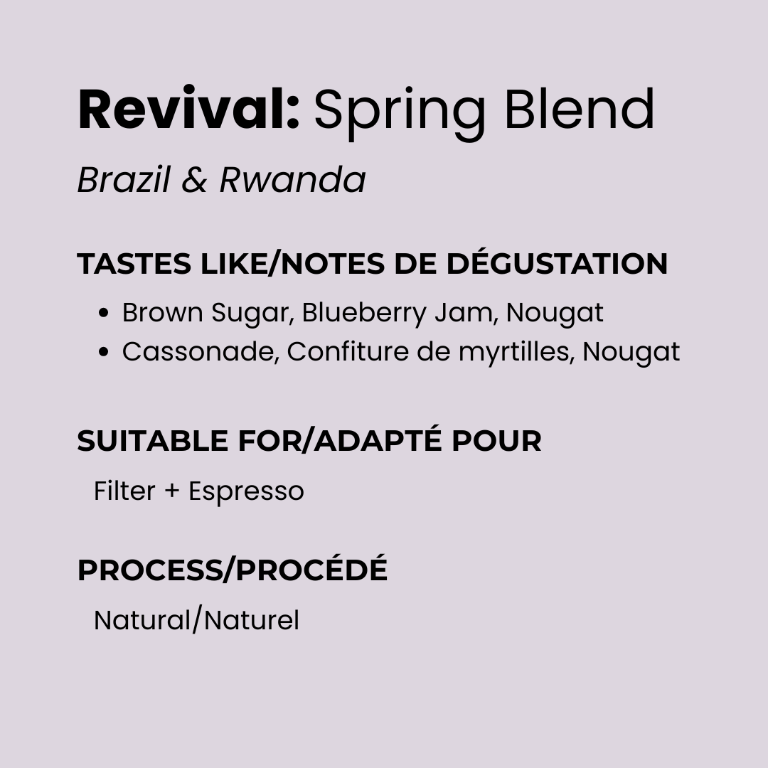 Revival Set: 6-Pack Coffee Sampler