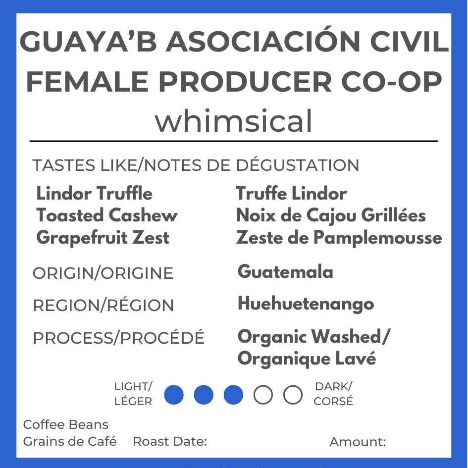 Whimsical: Guatemala Organic Washed - El Guaya’B Manos De Mujer