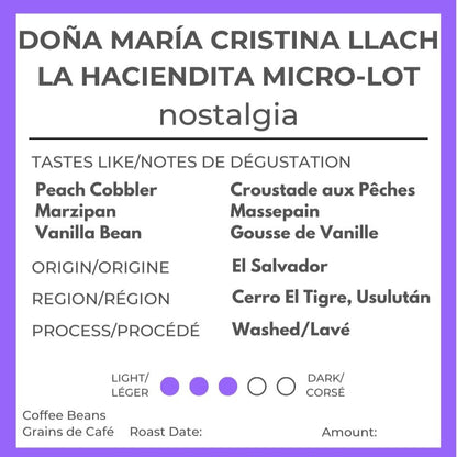 Nostalgia: El Salvador Washed by Doña María Cristina Llach