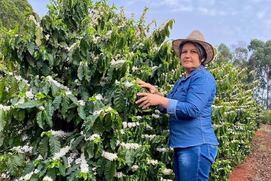 Woman standing among coffee trees with white flowers on a farm