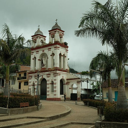 Spring Espresso Coffee Bundle