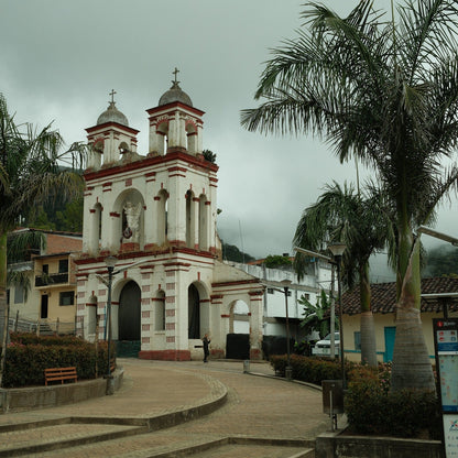 Colombia Washed by Francy Castillo