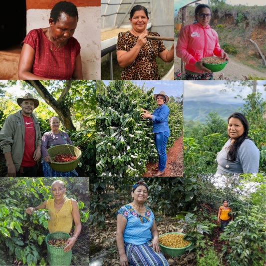 Discovery Set: 5-Pack Coffee Sampler