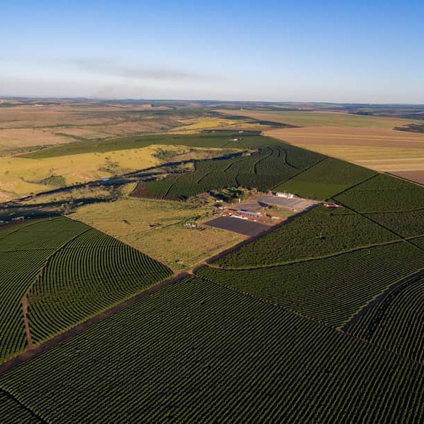 Brazil Natural by Imaculada Barbosa