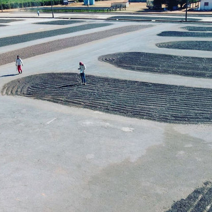 Brazil Natural by Imaculada Barbosa