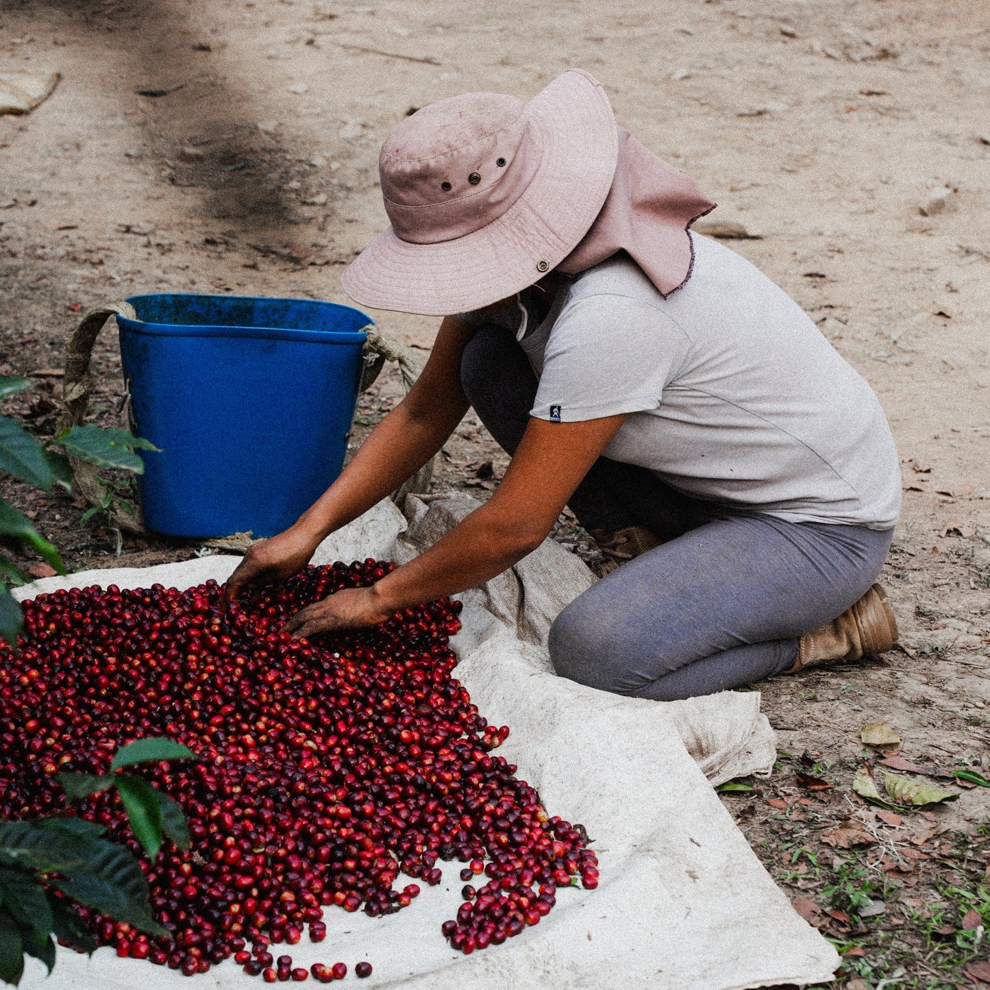 Bolivia Washed by Carmela, Juana, and Nancy